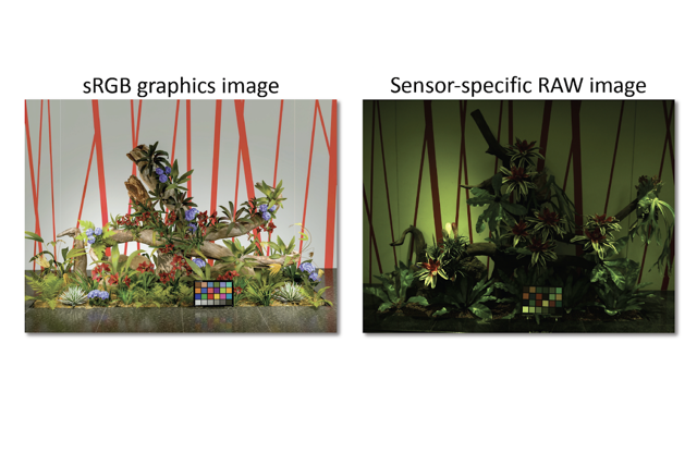 Graphics2RAW: Mapping Computer Graphics Images to Sensor RAW Images