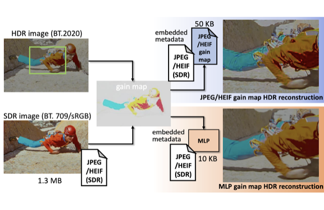Gain-MLP: Improving HDR Gain Map Encoding via a Lightweight MLP