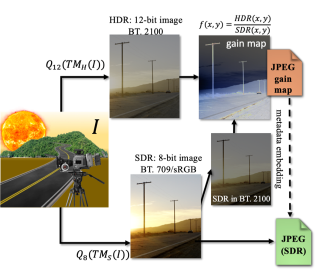 Gamma Maps: Non-linear Gain Maps for HDR Reconstruction